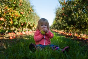 Getting our children to eat healthy food can be difficult! Here are some tips to get your picky eater to try new things and maybe even like them!