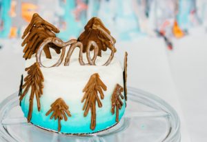 a simple cake with trees made of melted chocolate! 
