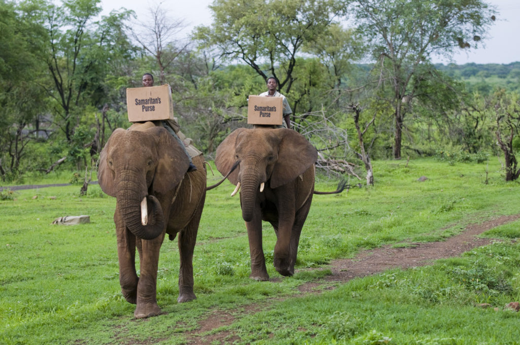 Operation Christmas Child boxes being transported by elephant in Zimbabwe